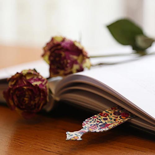 کتاب باز و کتاب جا نشانک