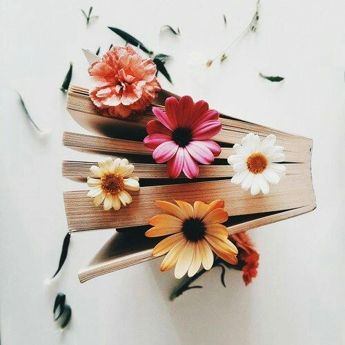 فروش آنلاین محصولات خلاق حوزه کتاب - کتابگاه نشانک