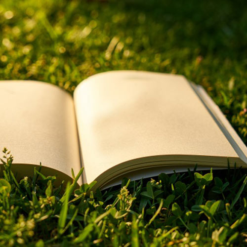 کتابجا نشانک محل آرامش کتاب ها