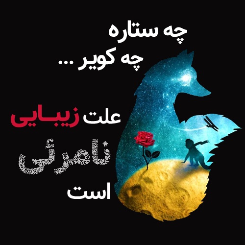 شازده کوچولو و گل