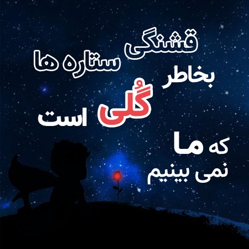 شازده کوچولو و گل