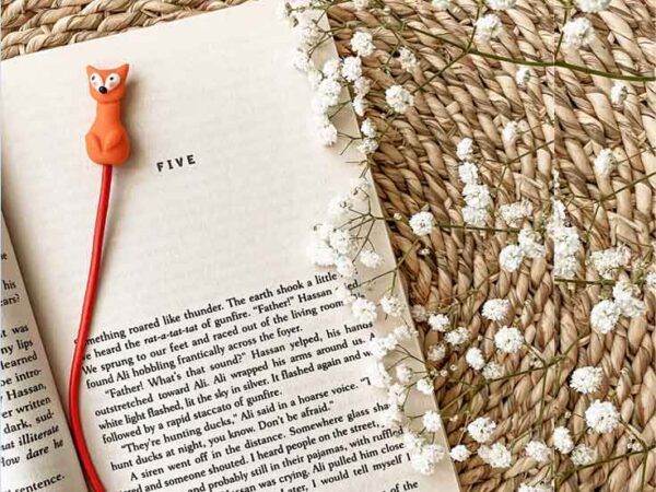 کتاب شازده کوچولو