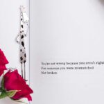 نشانک استیل زرافه