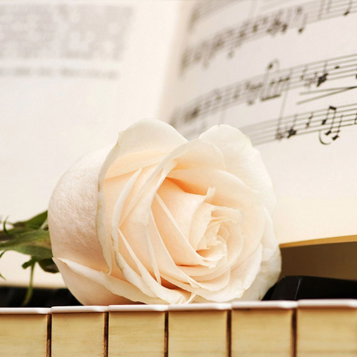 پیانو و گل رز - نشانک طرح گل